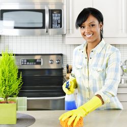 Sparkle The Cleaning Service