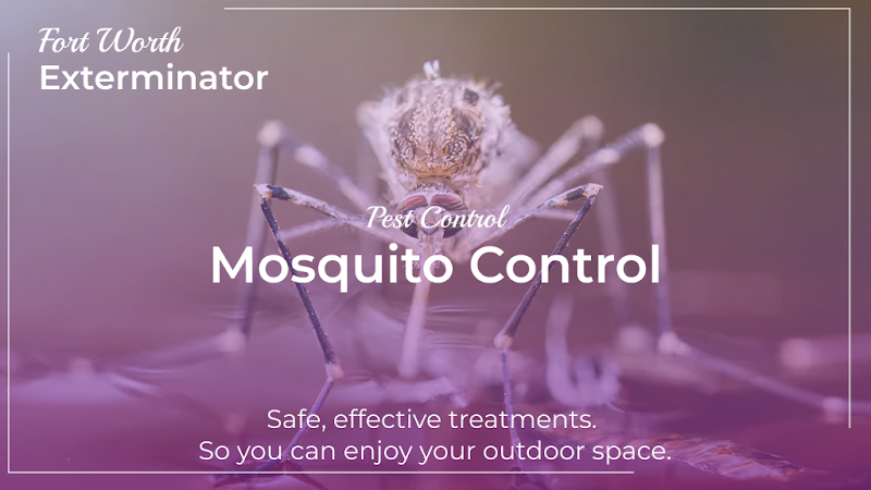 Purple Care - Lawn Care & Pest Control Fort Worth