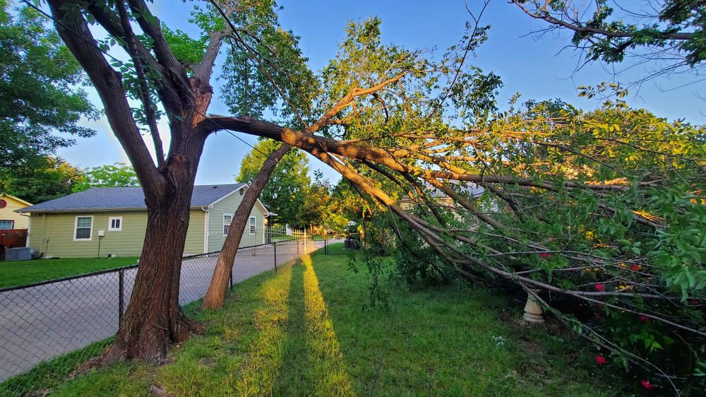 Torres Tree Service