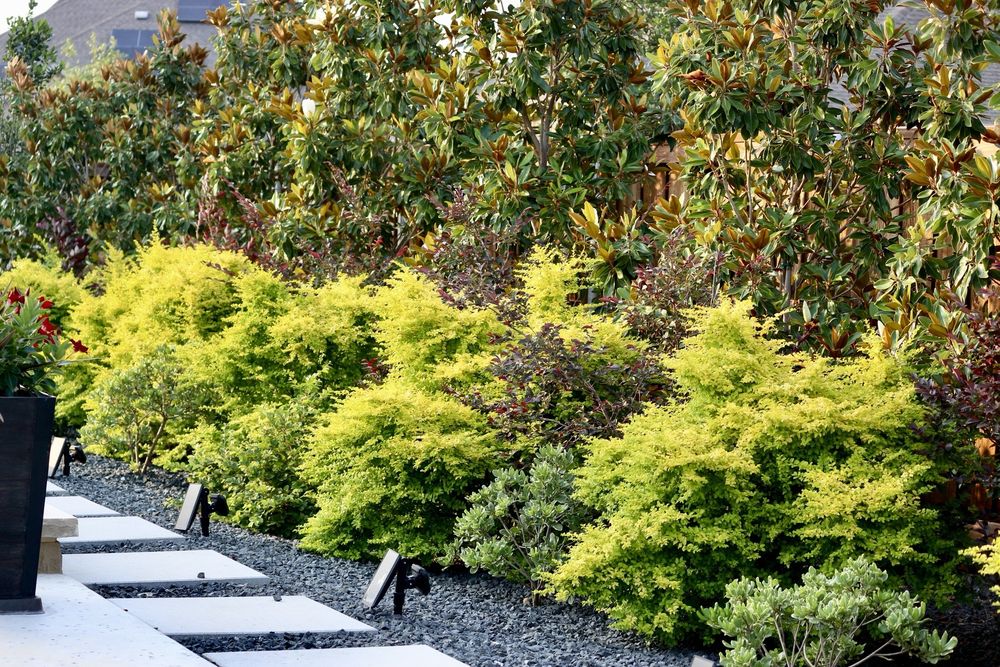 Rodriguez Landscaping