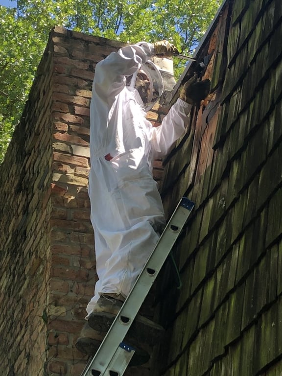 Honey Bee Rescue