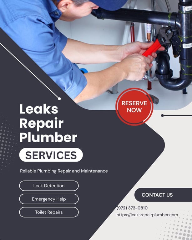 Leaks Repair Plumber