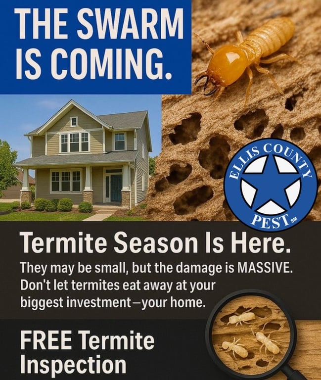 Ellis County Pest Services