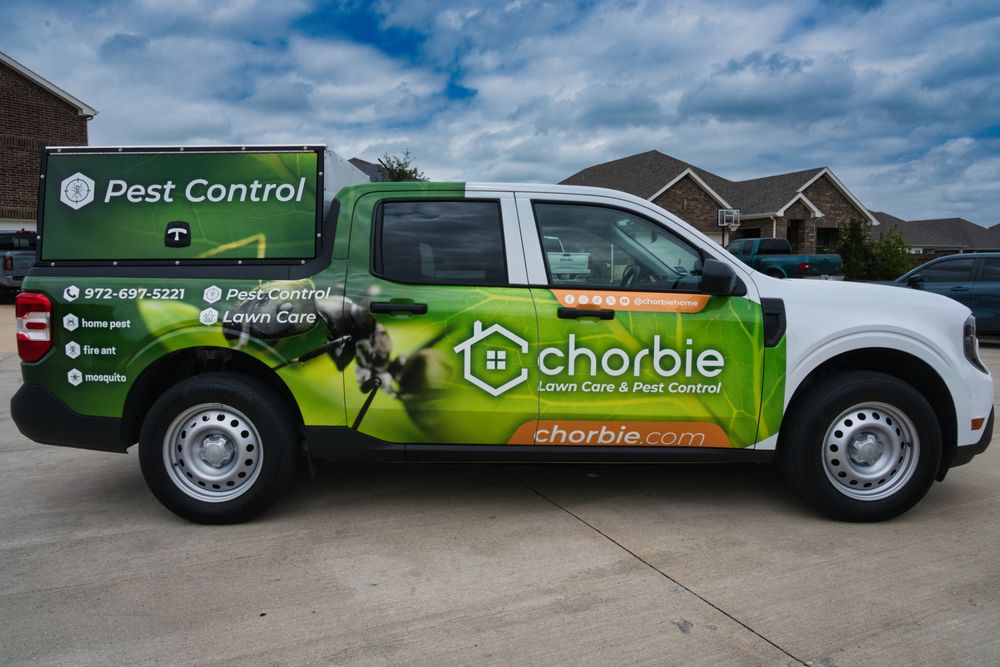 Chorbie