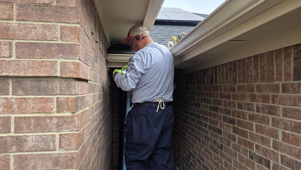 Blue Line Pest Police