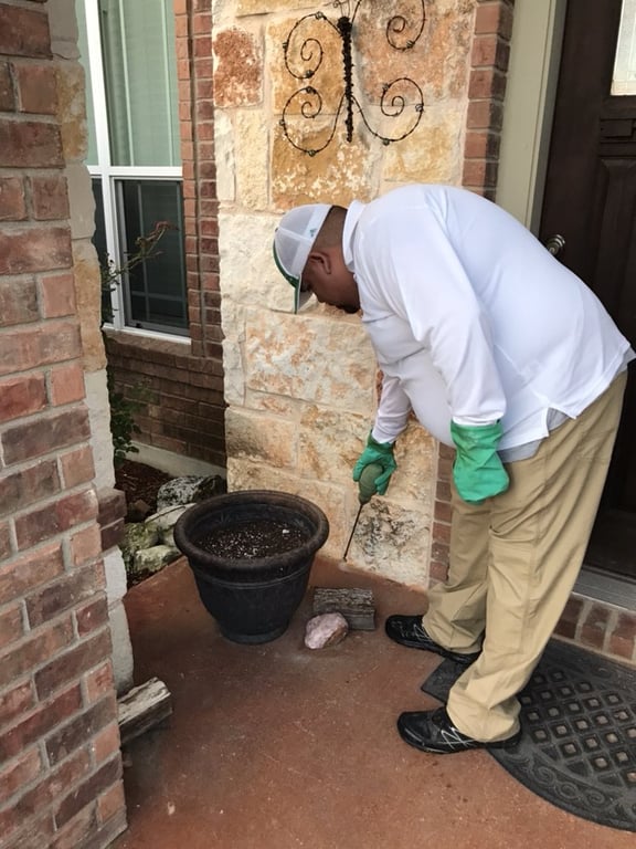 X Out Pest Services