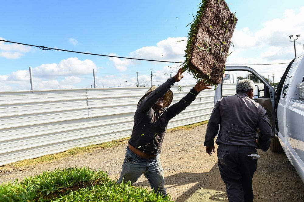 J&J Sod Company