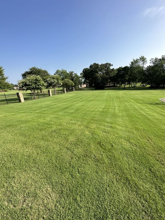 Rauls Lawn Care