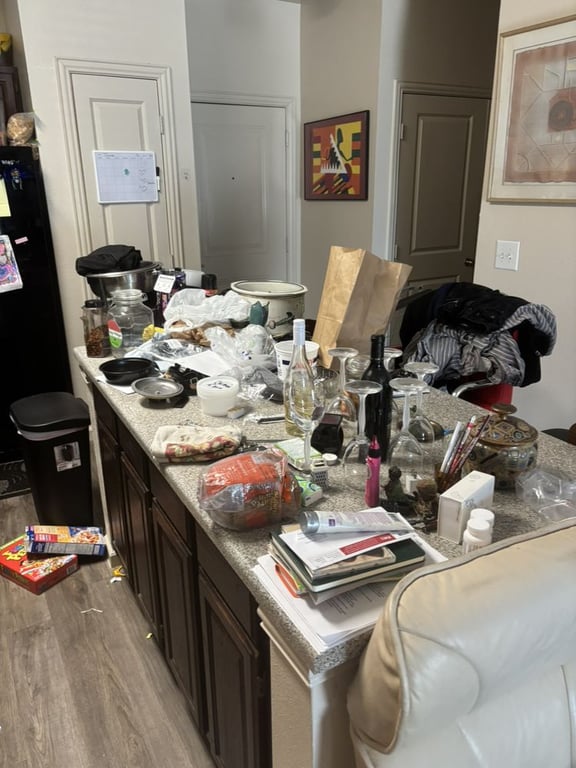 BizziBody Cleaning Service
