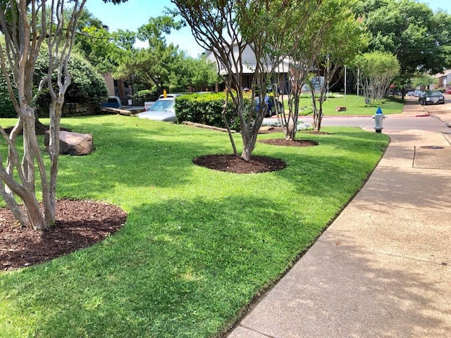 Black Diamond Landscaping