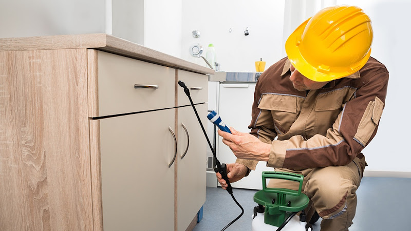 Denton County Termite & Pest Control Inc