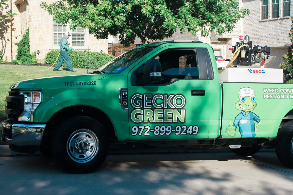 Gecko Green
