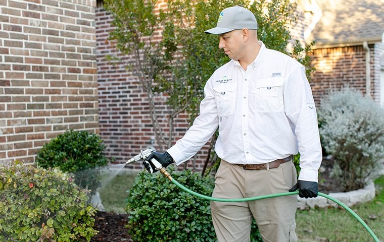Around the Block Pest Control