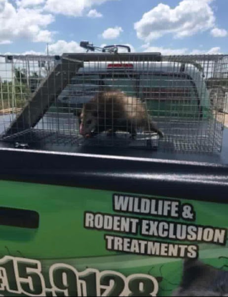 Summers Pest Control