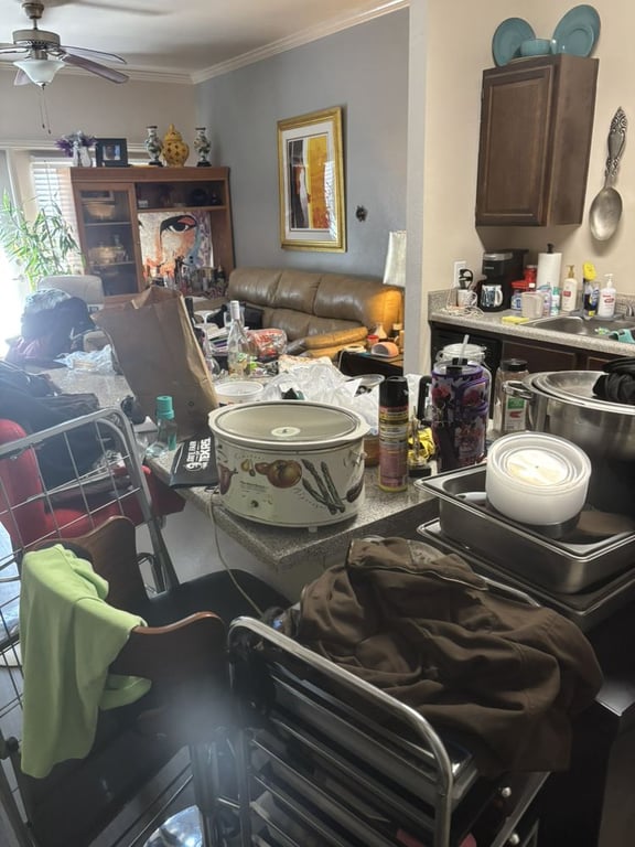 BizziBody Cleaning Service