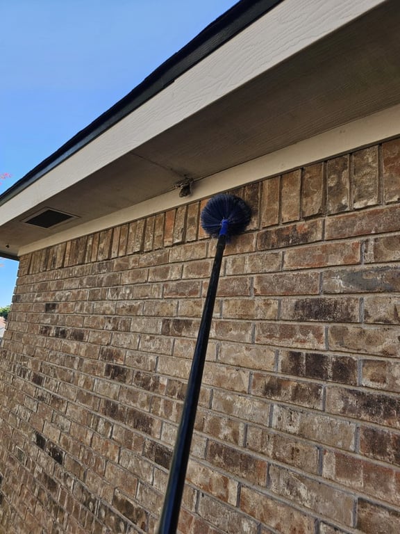 Lion’s Den Pest Control