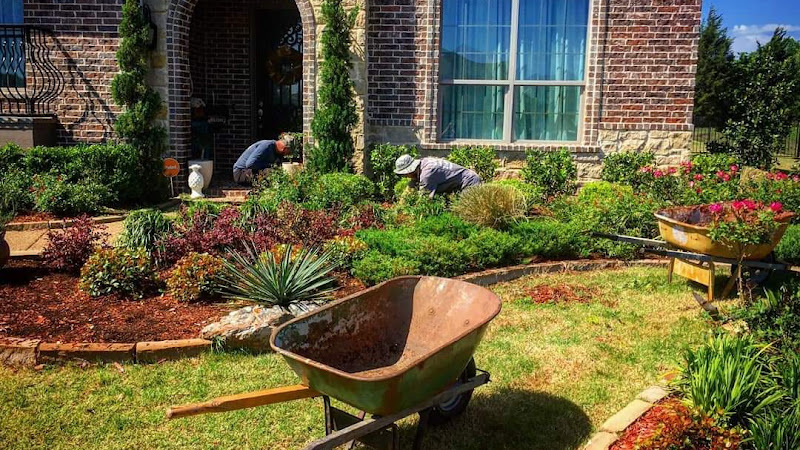 Omega Lawn & Landscape