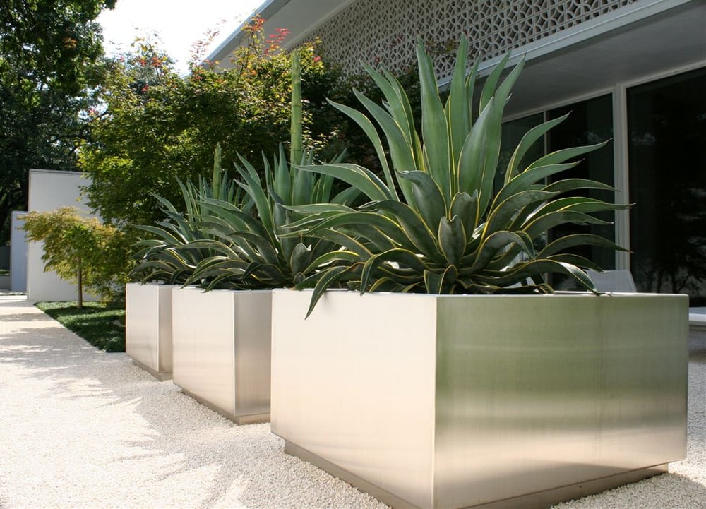 Southern Botanical Landscaping