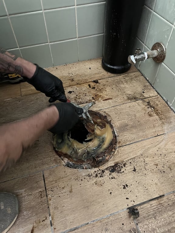 Molberg Plumbing