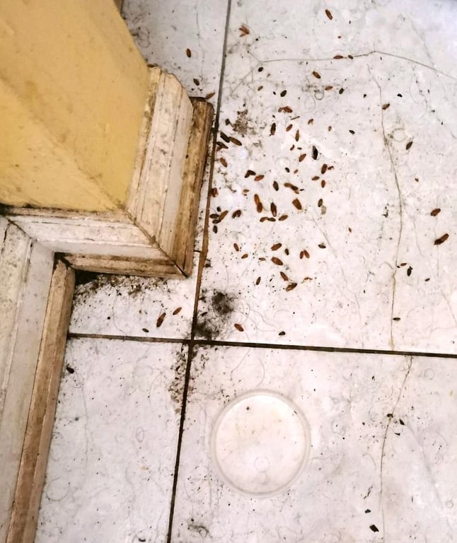 Red Oak Pest Control