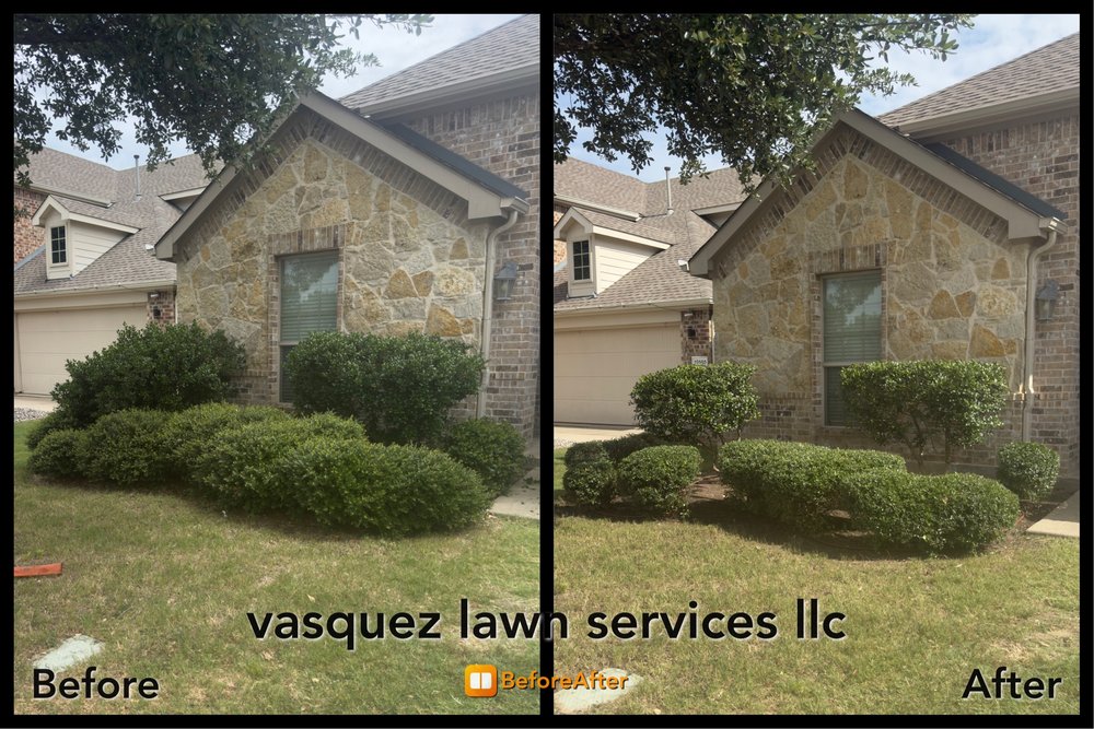 Vasquez lawn service