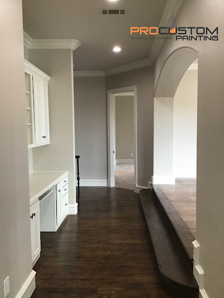 Pro Custom Painting