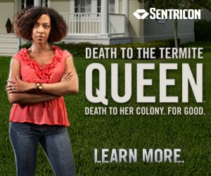 Sureguard Termite & Pest Services