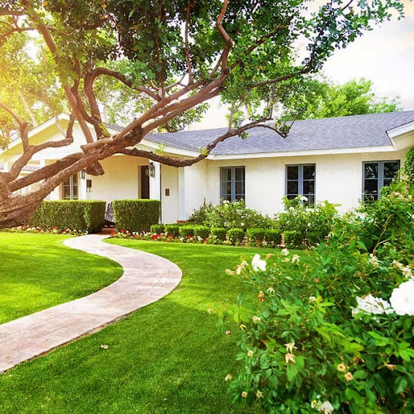 Starr Turf Grass & Stone