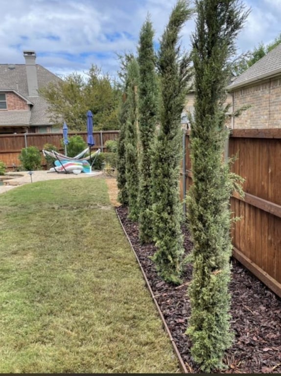 JIT Landscape and Design