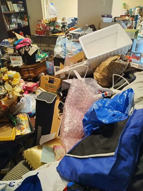 Lotus Blossom Cleaners
