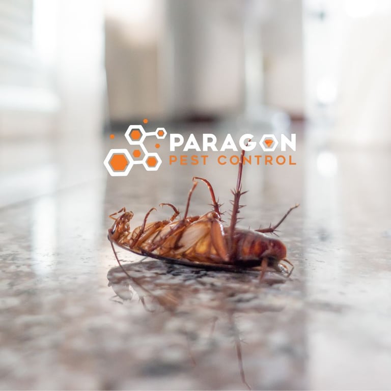 Paragon Pest Control