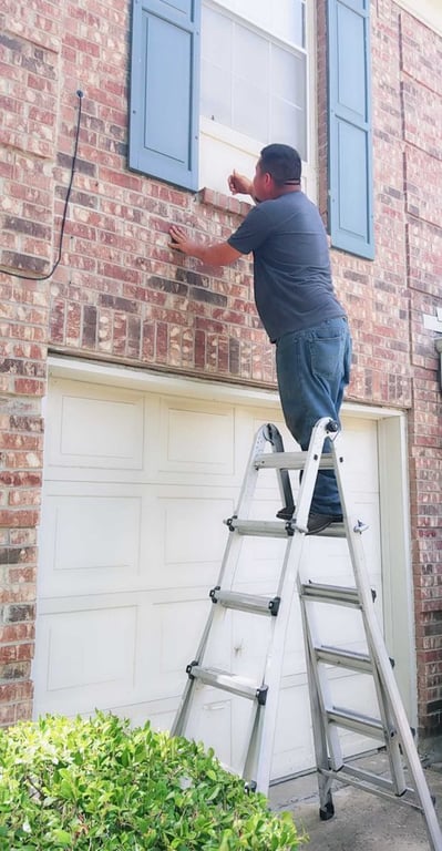 Bee Safe Bee Removal