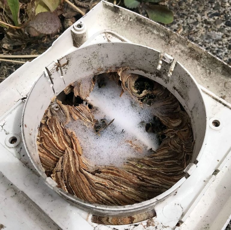 Red Oak Pest Control