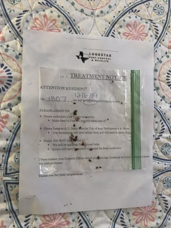 DFW Wildlife And Pest Control