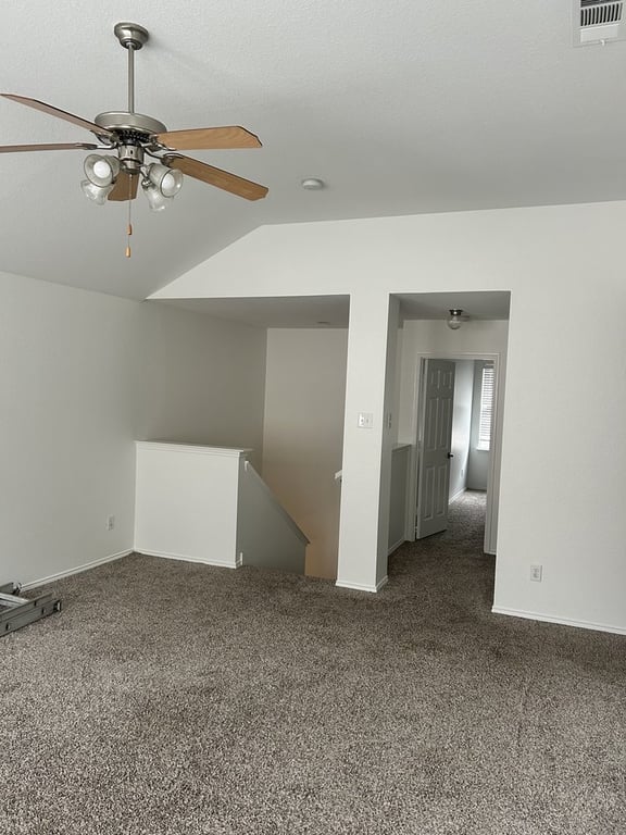 White Lion Painting Company