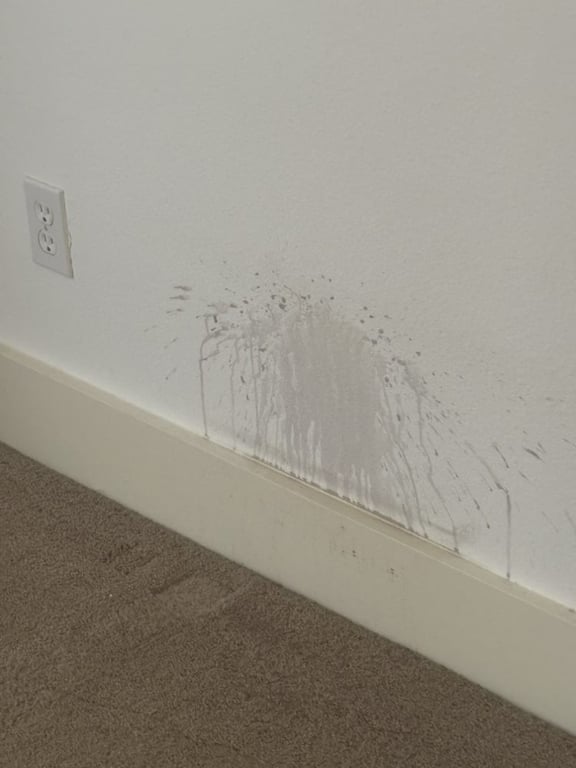 BizziBody Cleaning Service