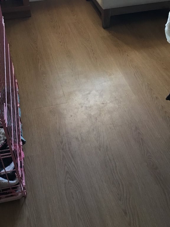 Cleaning Cares