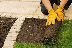 L & T Landscaping