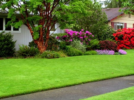 Joey's Lawn Mowing