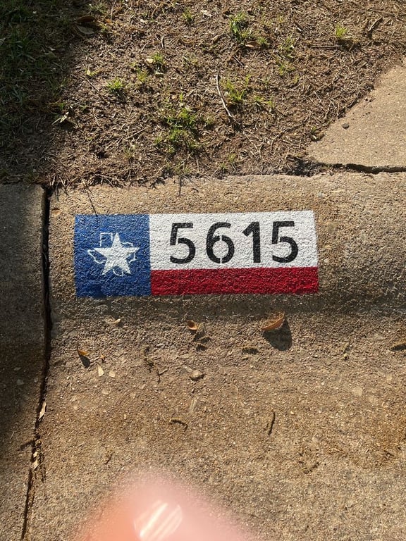 Dallas Curb Painting
