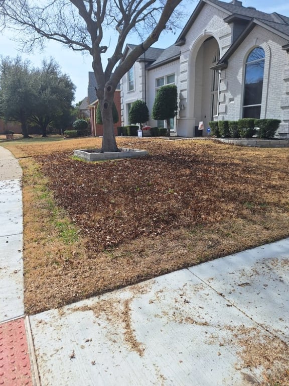 Jose Lawn Service