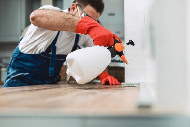 Clean Home Spot Elite Pest Control Fort