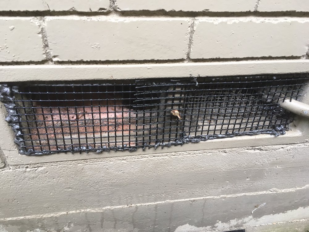 Hurd's Pest Control