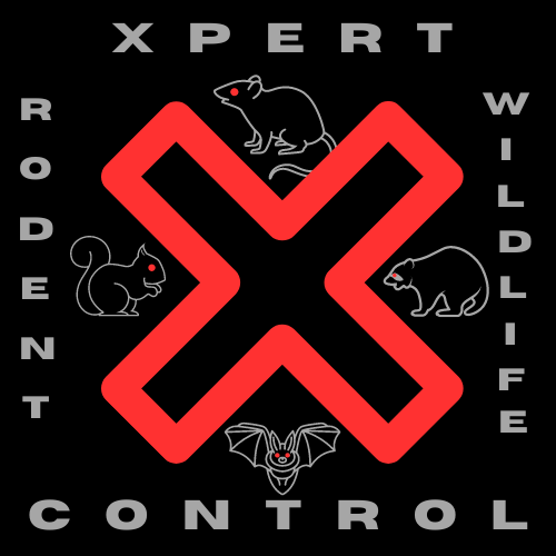 Xpert Rodent and Wildlife Control