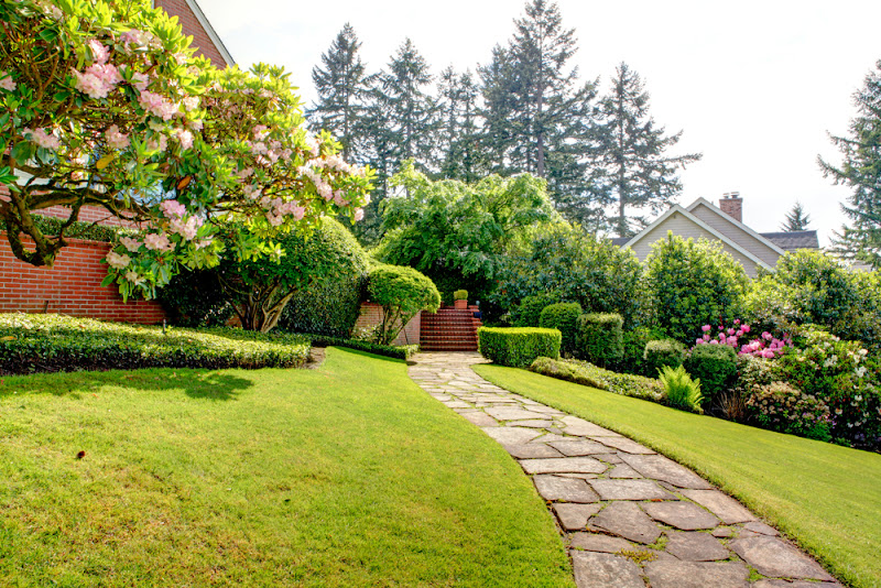 Loeras Landscaping llc