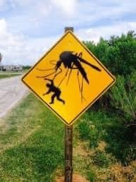 All Pest Solutions