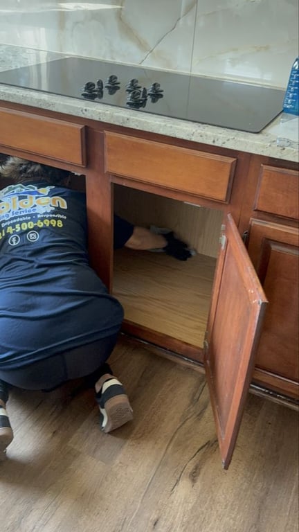 Golden Cleaning Service
