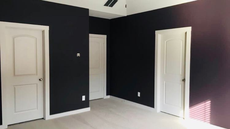 Texas Pure Painting