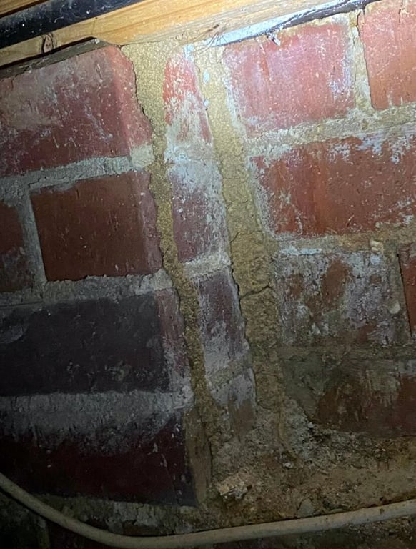 Deep Ellum Pest Services