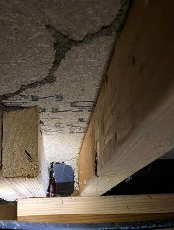 Deep Ellum Pest Services